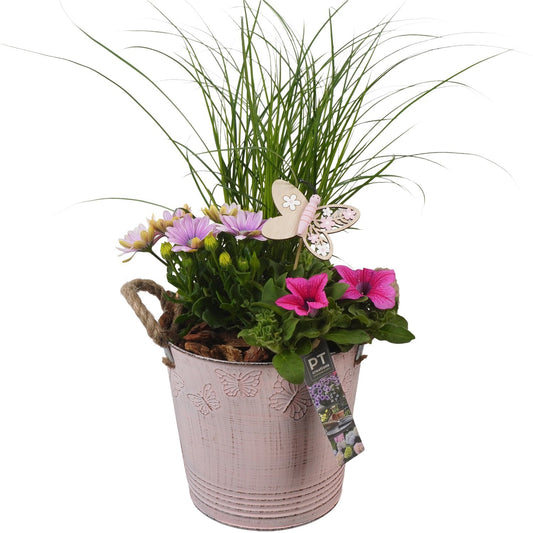 Outdoor arrangement 49cm 19cm Pot