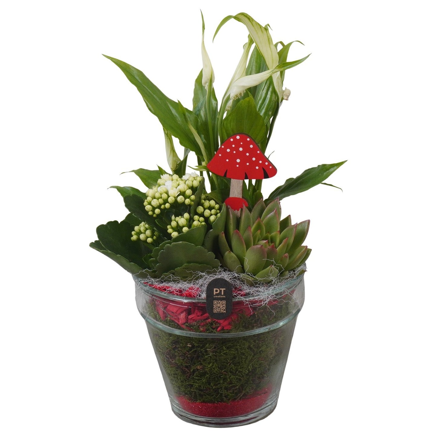 Indoor arrangement 29cm 13cm Pot