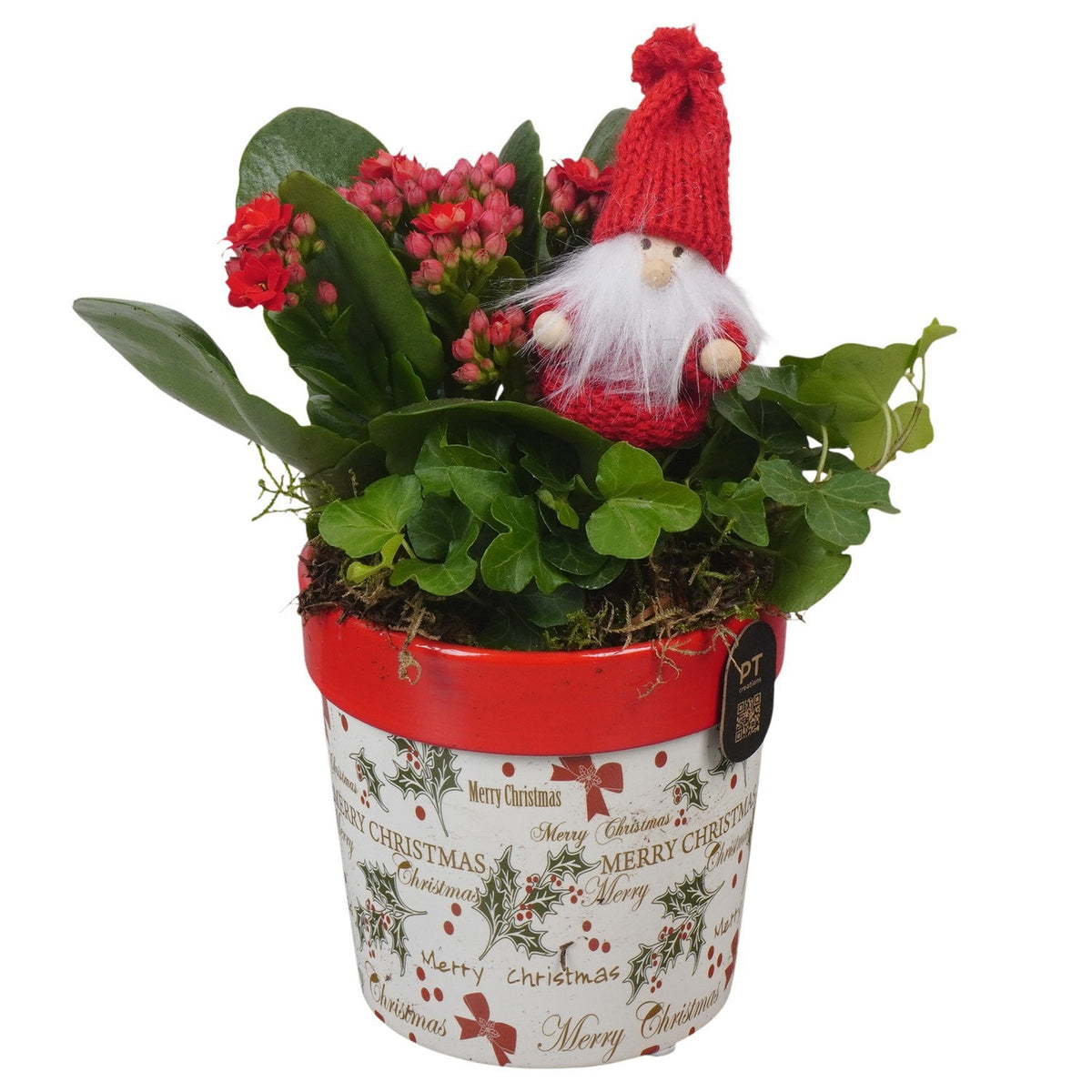 Christmas arrangement 21cm 10cm Pot