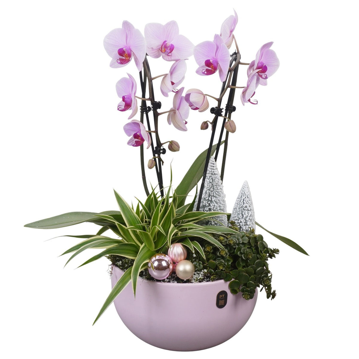 Christmas arrangement 55cm 26cm Pot