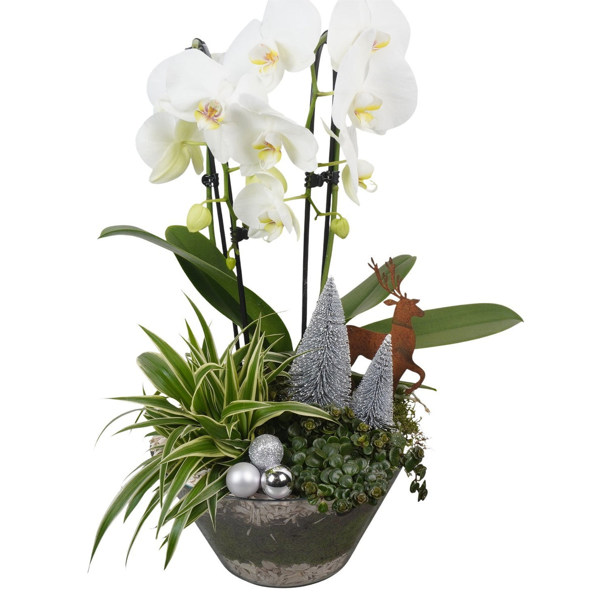 Christmas arrangement 58cm 25cm Pot