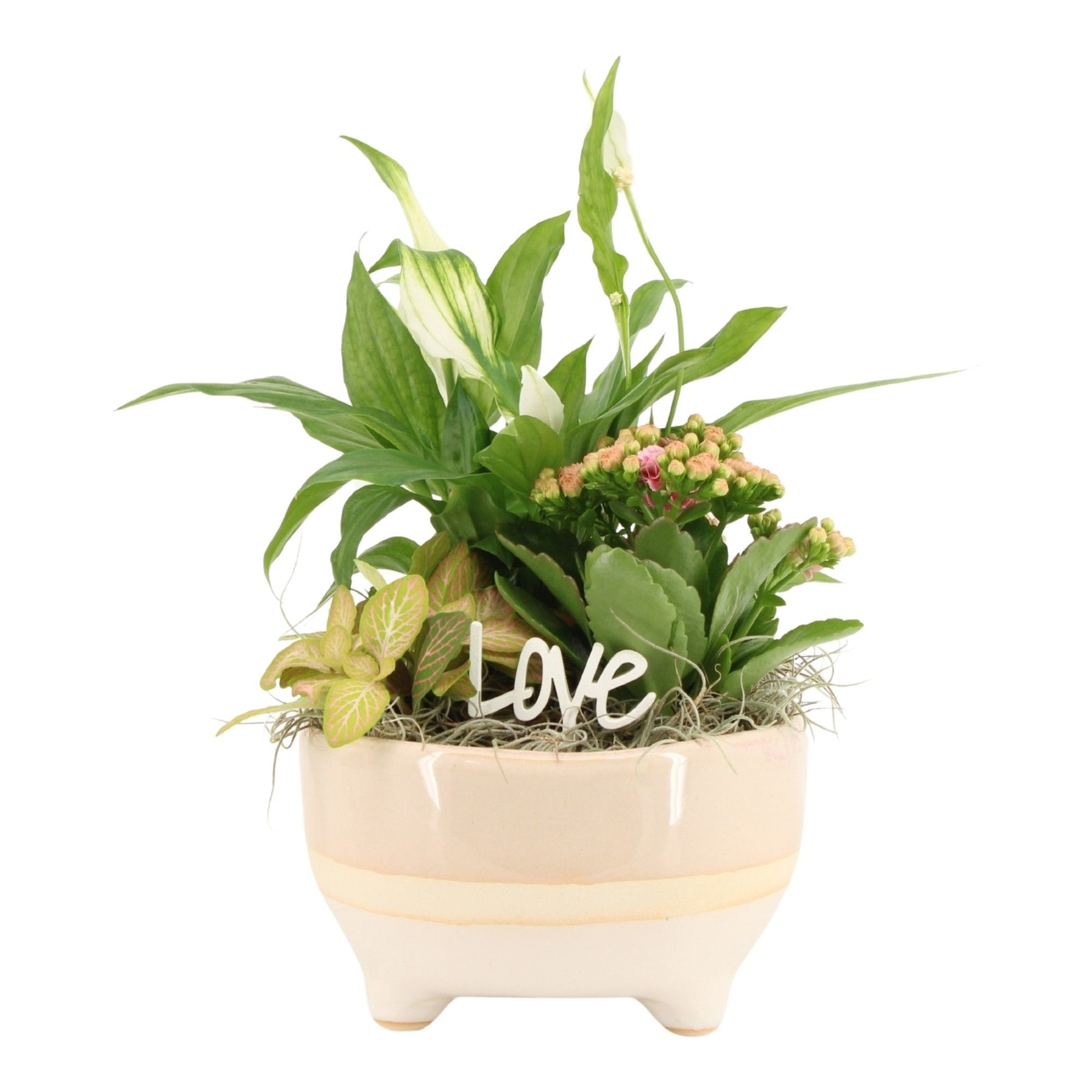 Indoor arrangement 35cm 16cm Pot