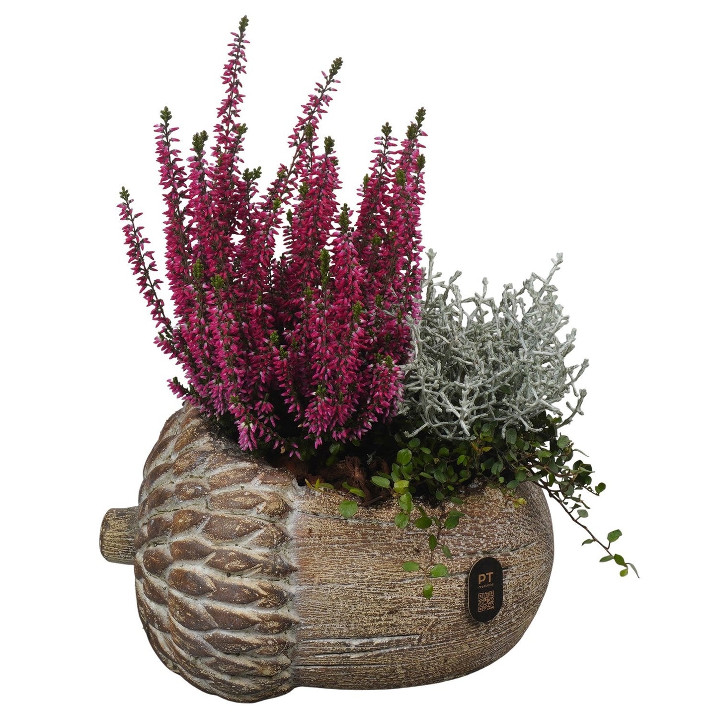 Outdoor arrangement 29cm 22cm Pot
