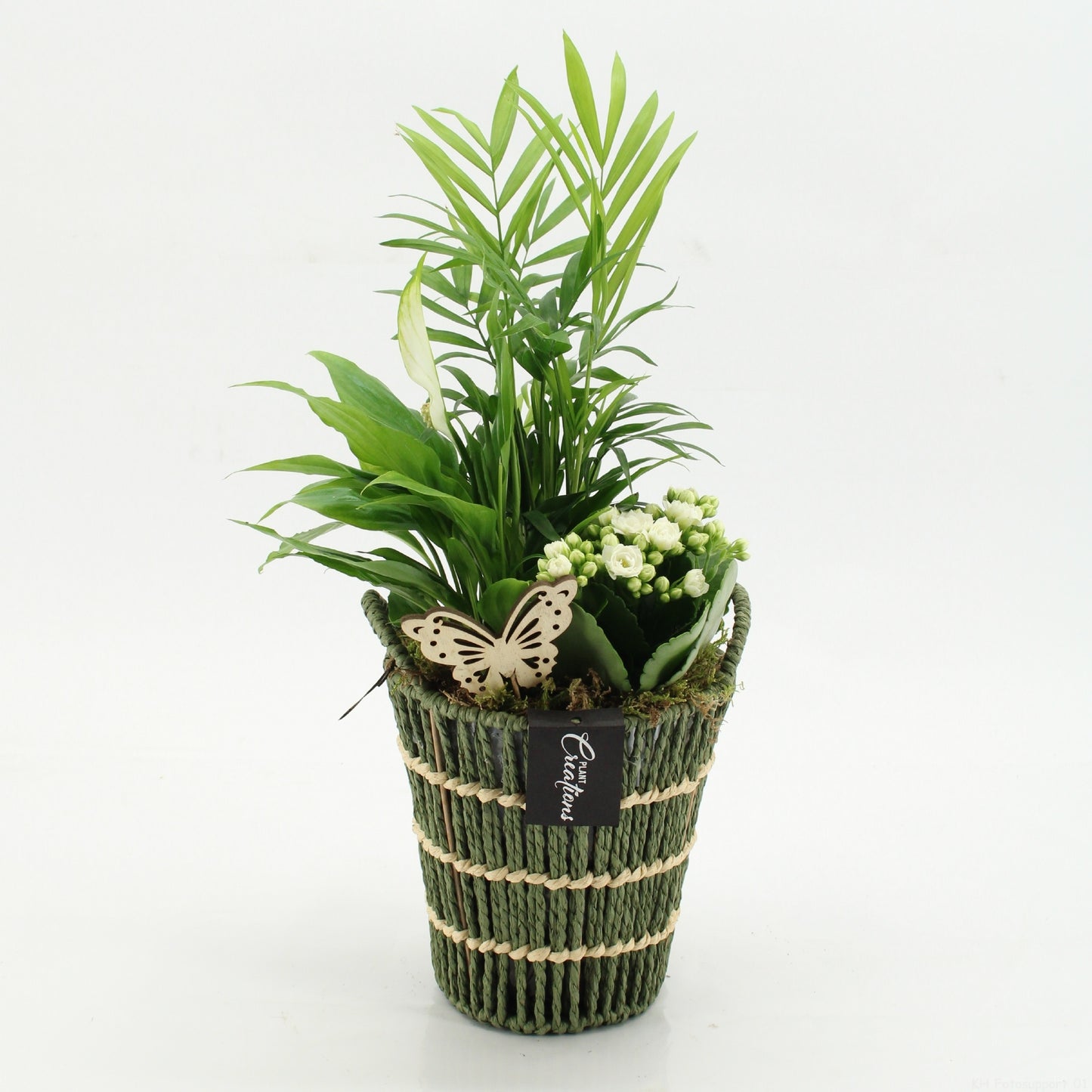 ESCR-2617W Essentials 45cm 16cm Pot