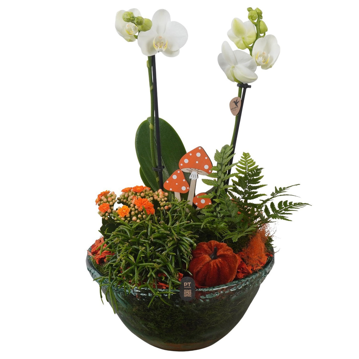 Indoor arrangement 47cm 26cm Pot