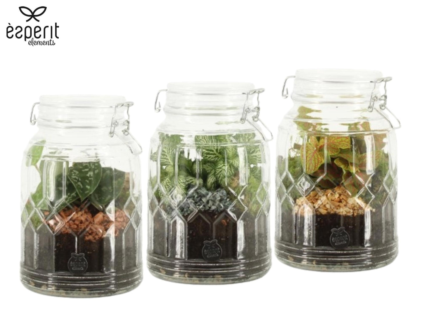 Esperit Elements Vof arr. Terrarium 90718 Pack of 4