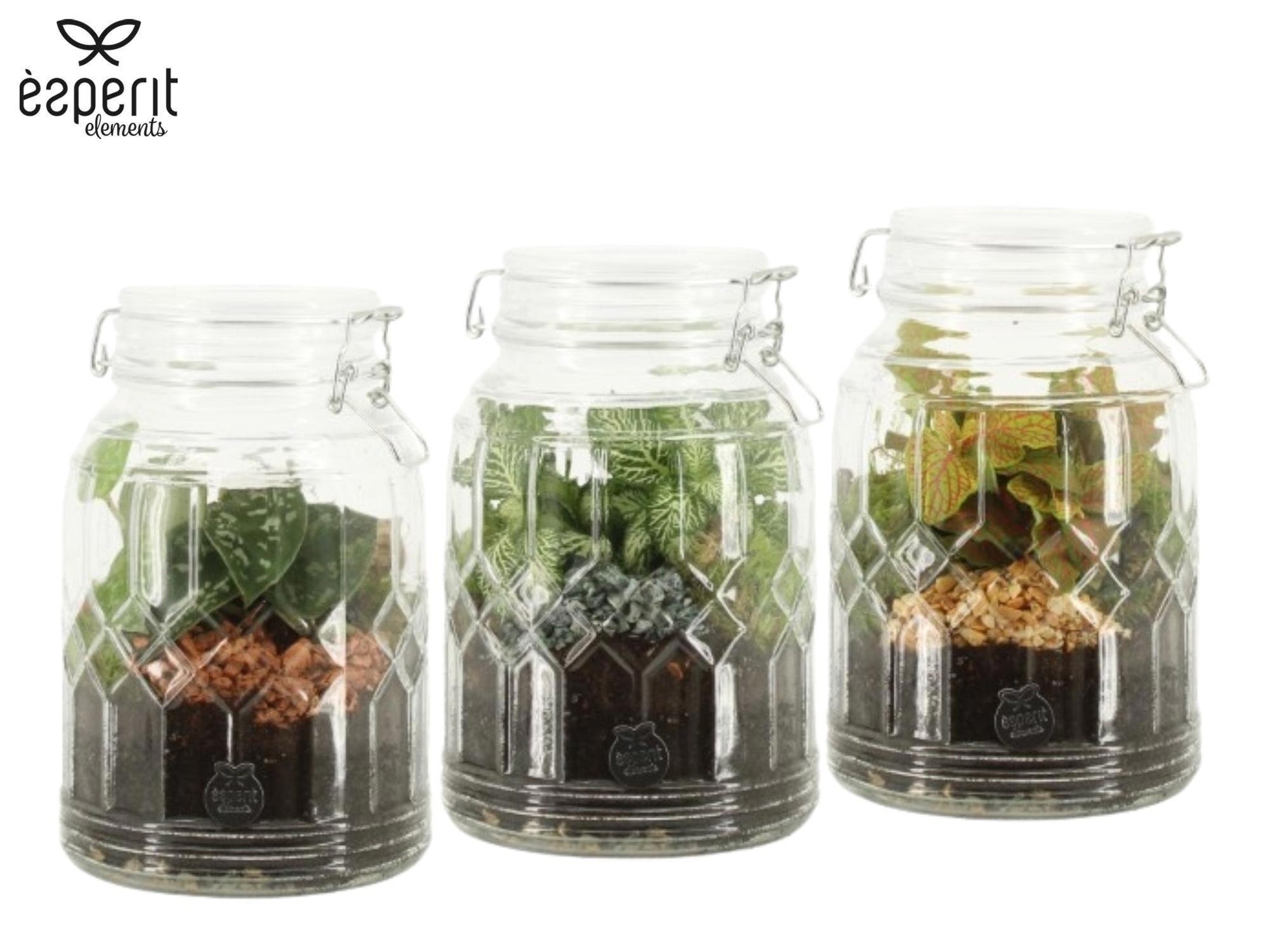Esperit Elements Vof arr. Terrarium 90718 Pack of 4