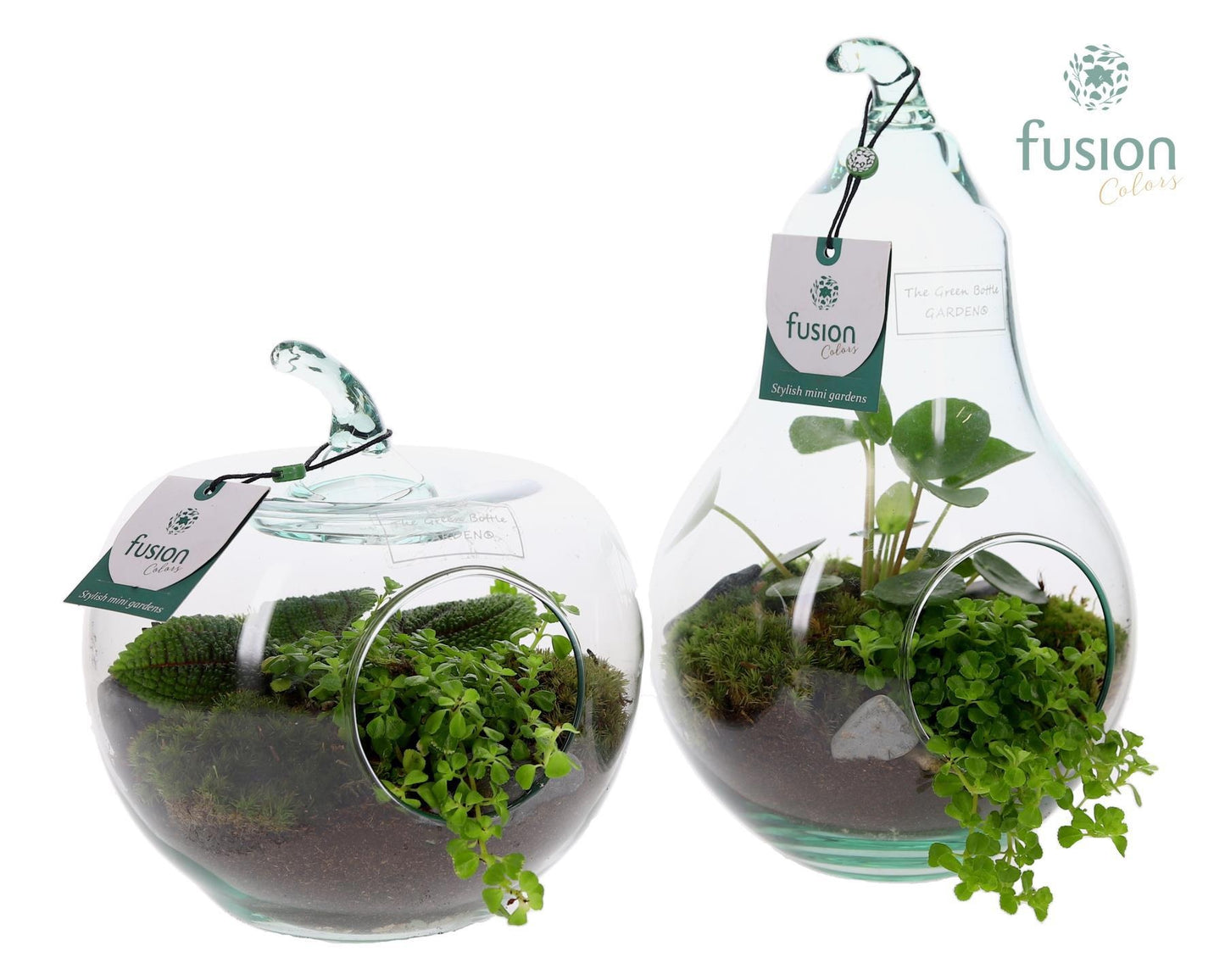Fusioncolors BV Glas appel en peer met Groene planten 2pp Pack of 4