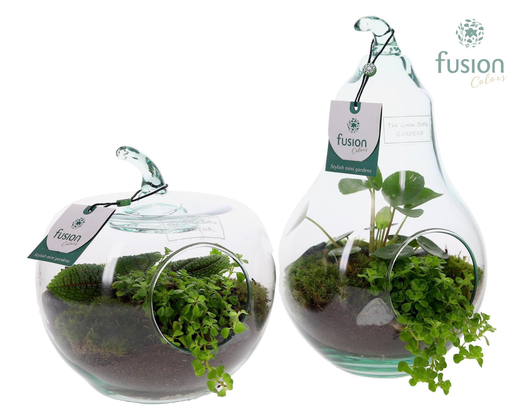 Fusioncolors BV Glas appel en peer met Groene planten 2pp Pack of 4