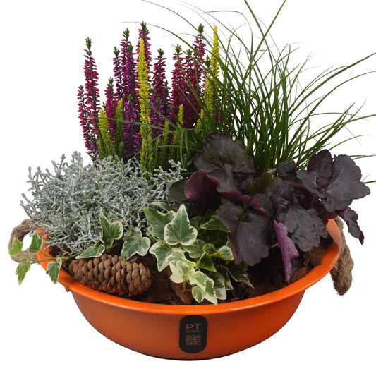 Outdoor arrangement 31cm 30cm Pot