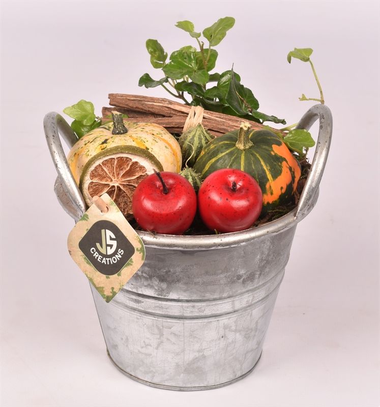arr. Sierfruit 16cm Pot