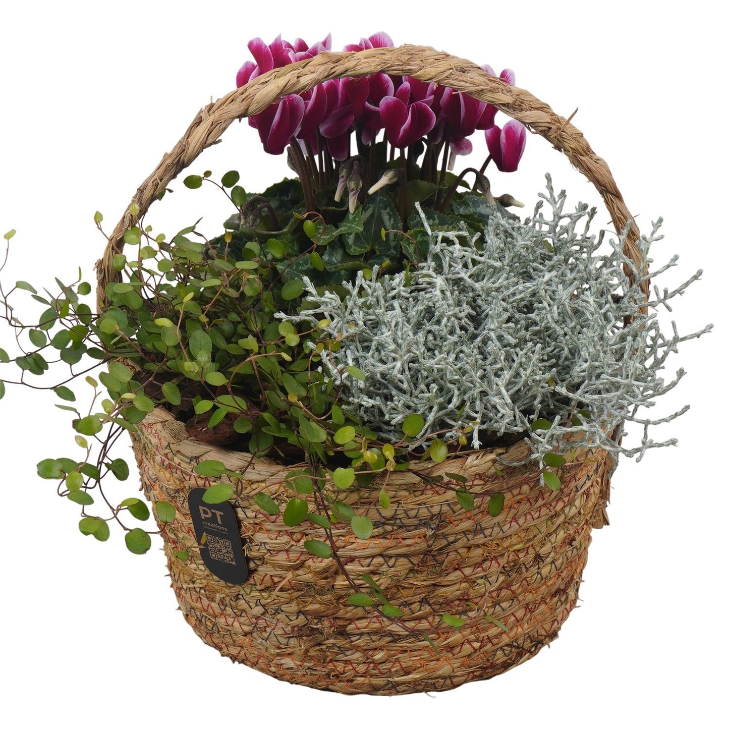 Outdoor arrangement 28cm 23cm Pot