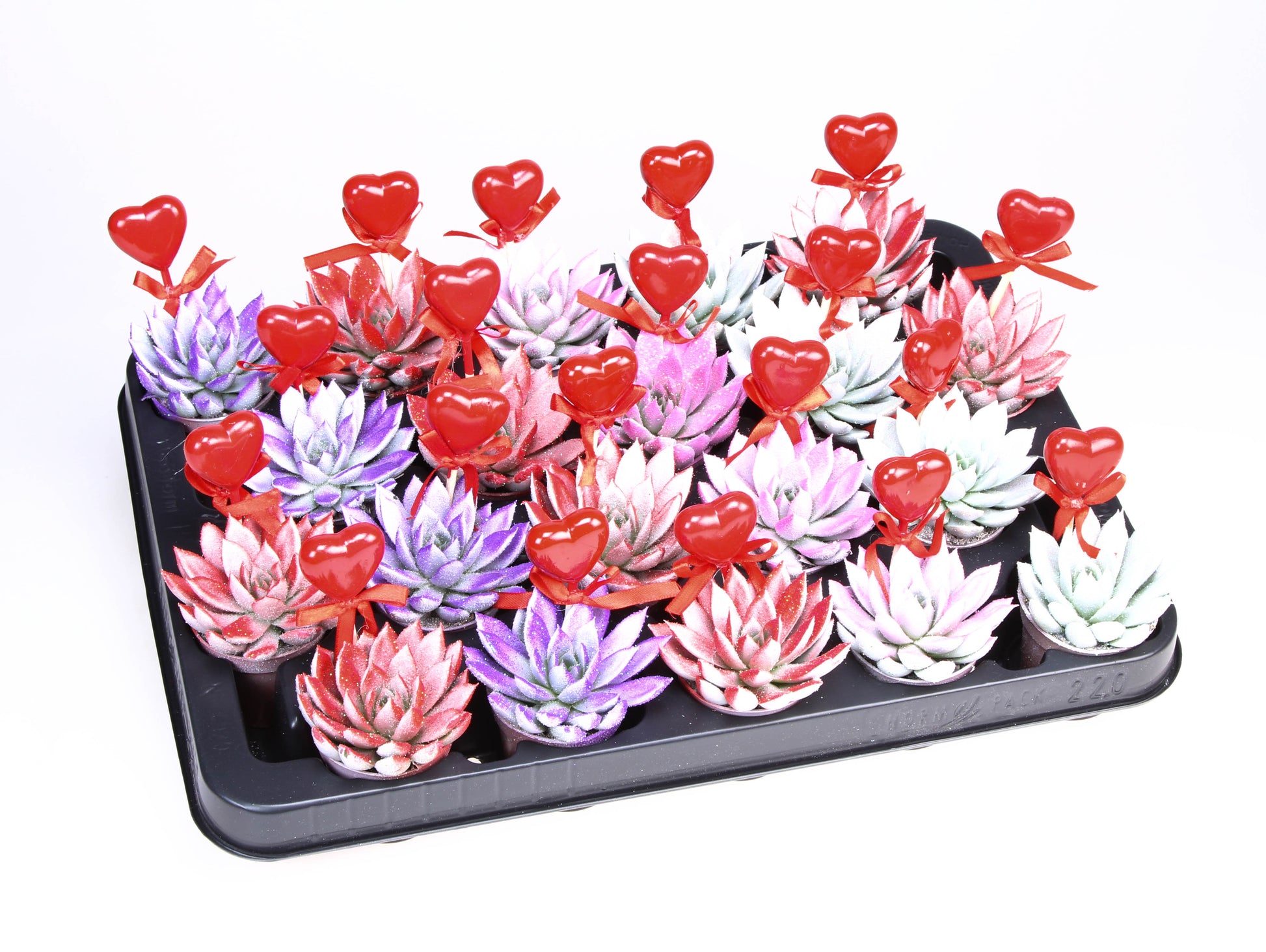 Euro Cactus Holland Bv Miranda Valentine Glittermix + hartje Pack of 20