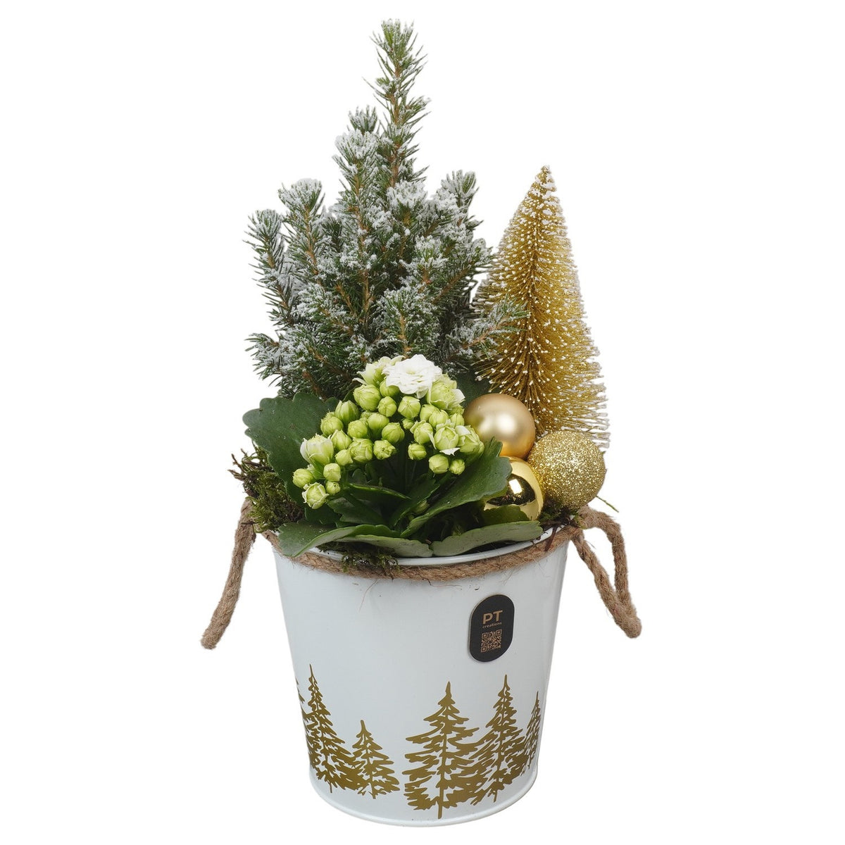 Christmas arrangement 31cm 13cm Pot