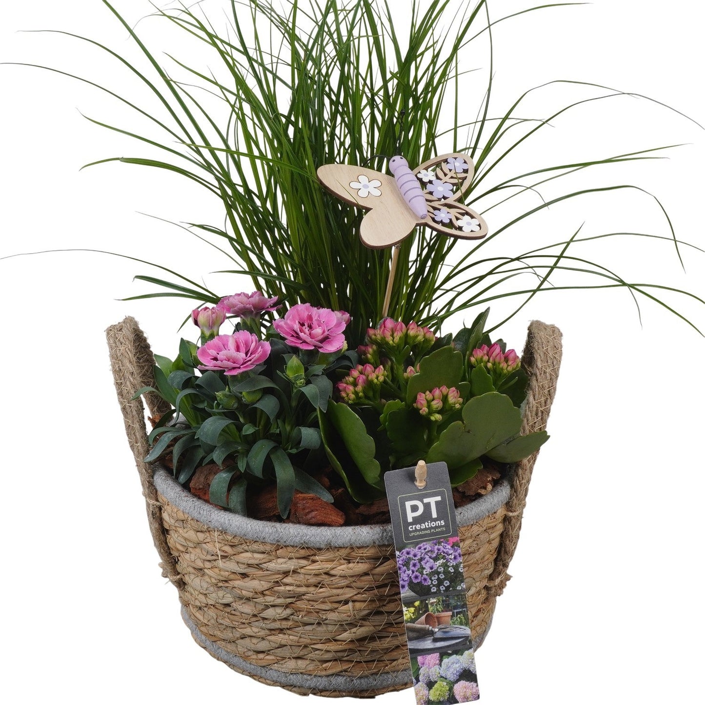 Outdoor arrangement 40cm 18cm Pot