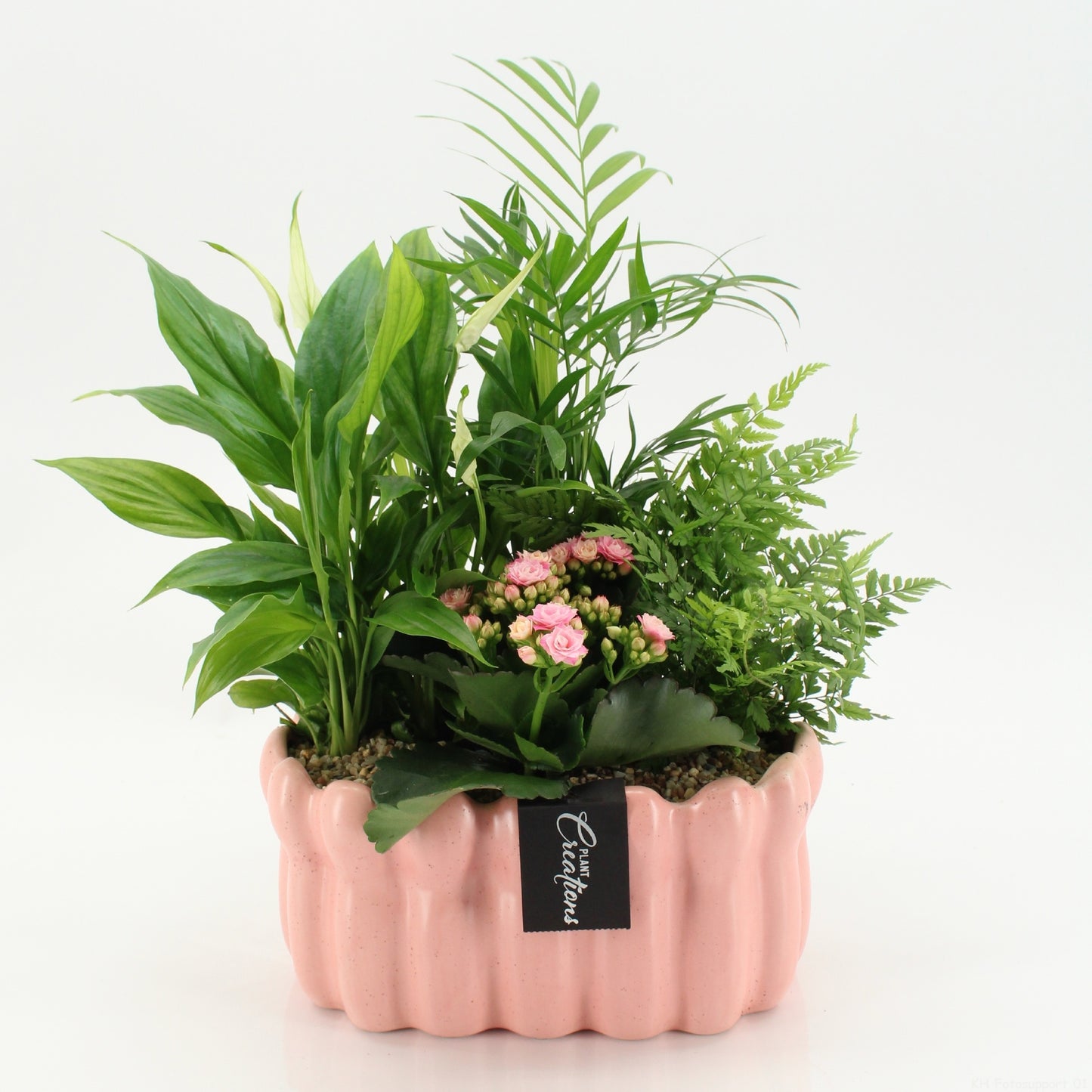 RECR-2618 Rentree 40cm 23cm Pot