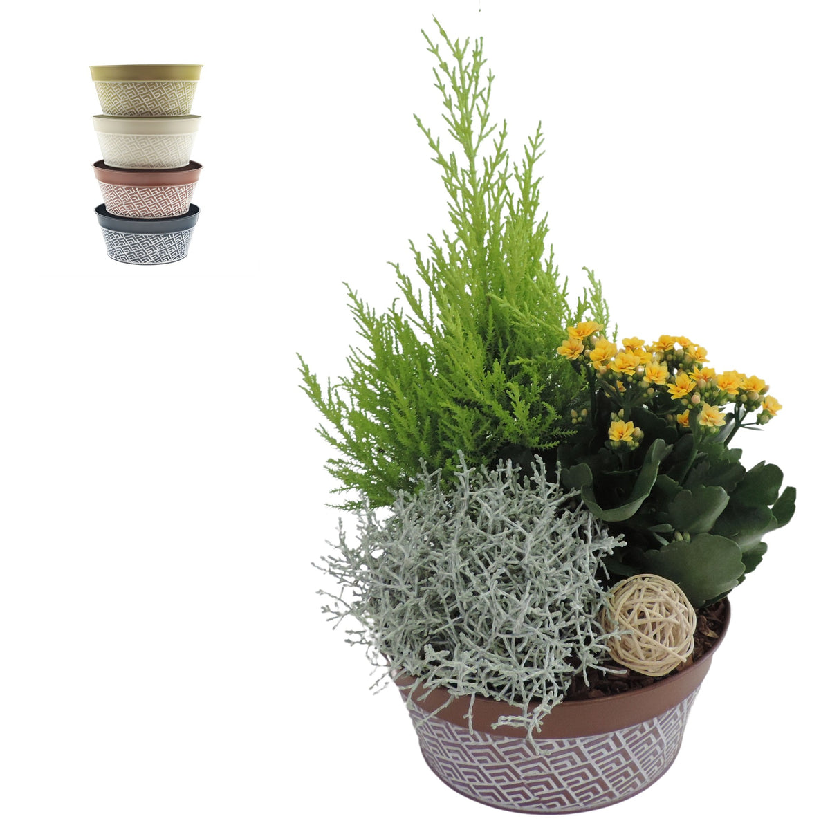 Outdoor arrangement 40cm 21cm Pot
