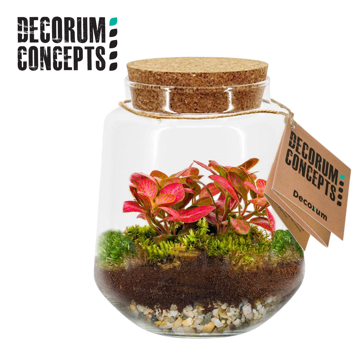 Indoor green arrangement 16cm Pot