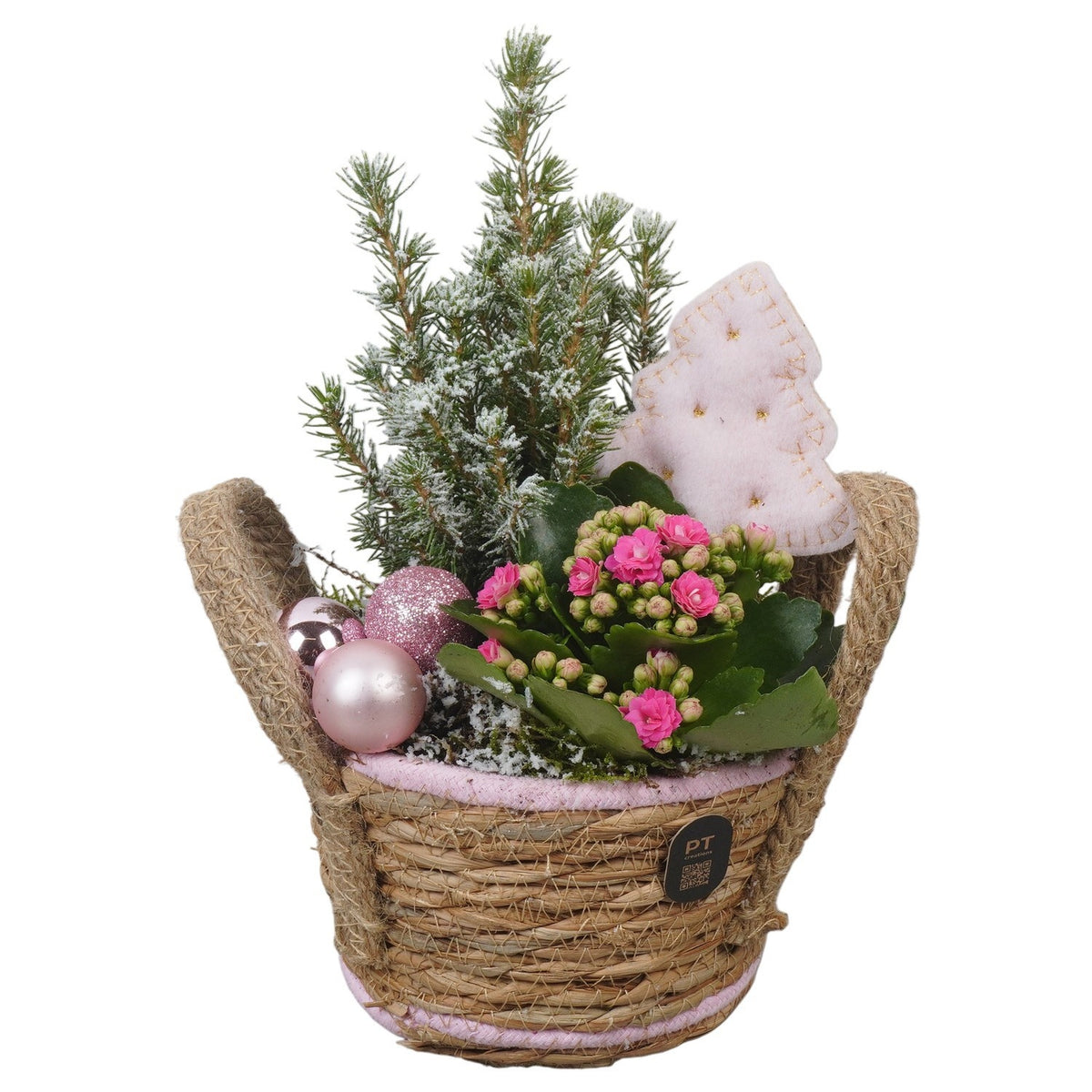 Christmas arrangement 28cm 15cm Pot