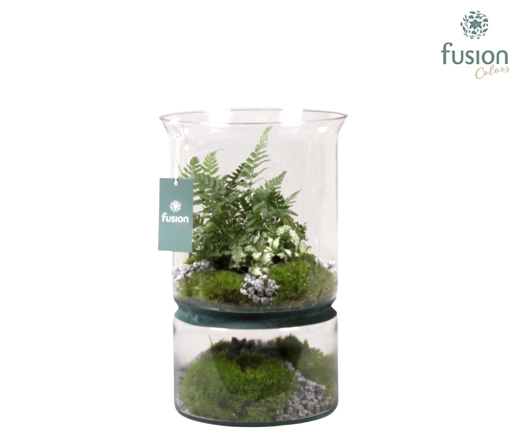Green Bottle duopot XL met arrangement 35cm 22cm Pot