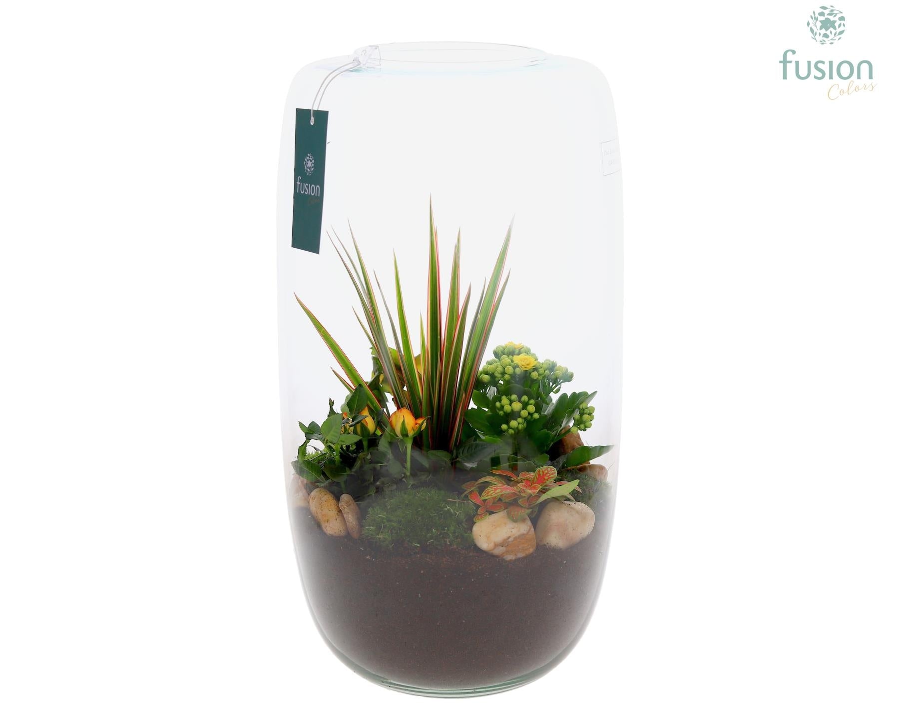 Green Bottle Isabella XXLarge met arrangement 43cm 23cm Pot