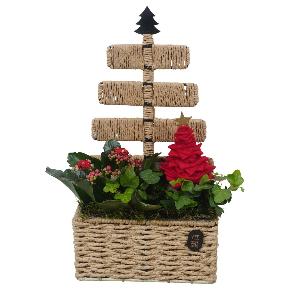 Christmas arrangement 34cm 18cm Pot