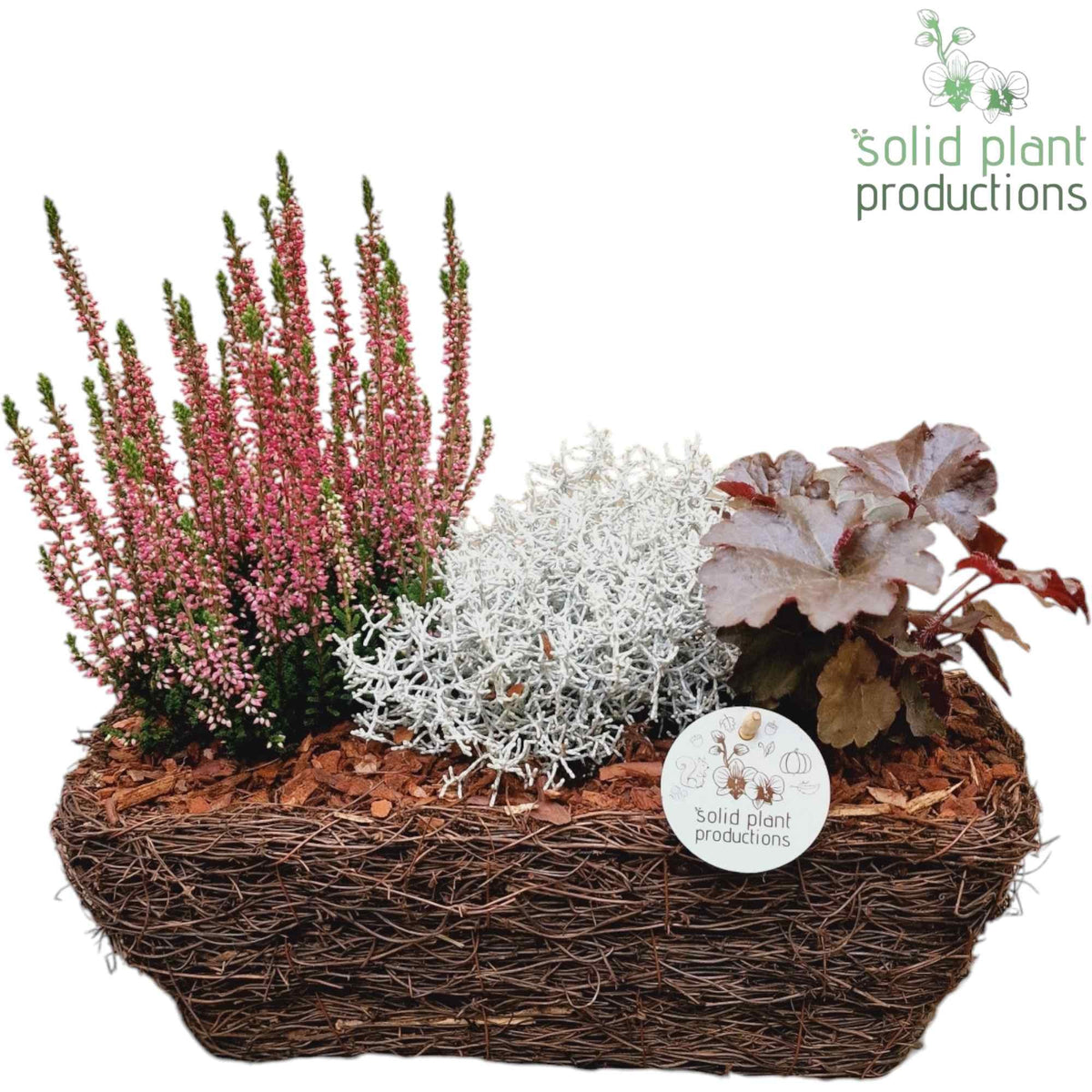 SRM001 Salim S Medium 35cm 26cm Pot