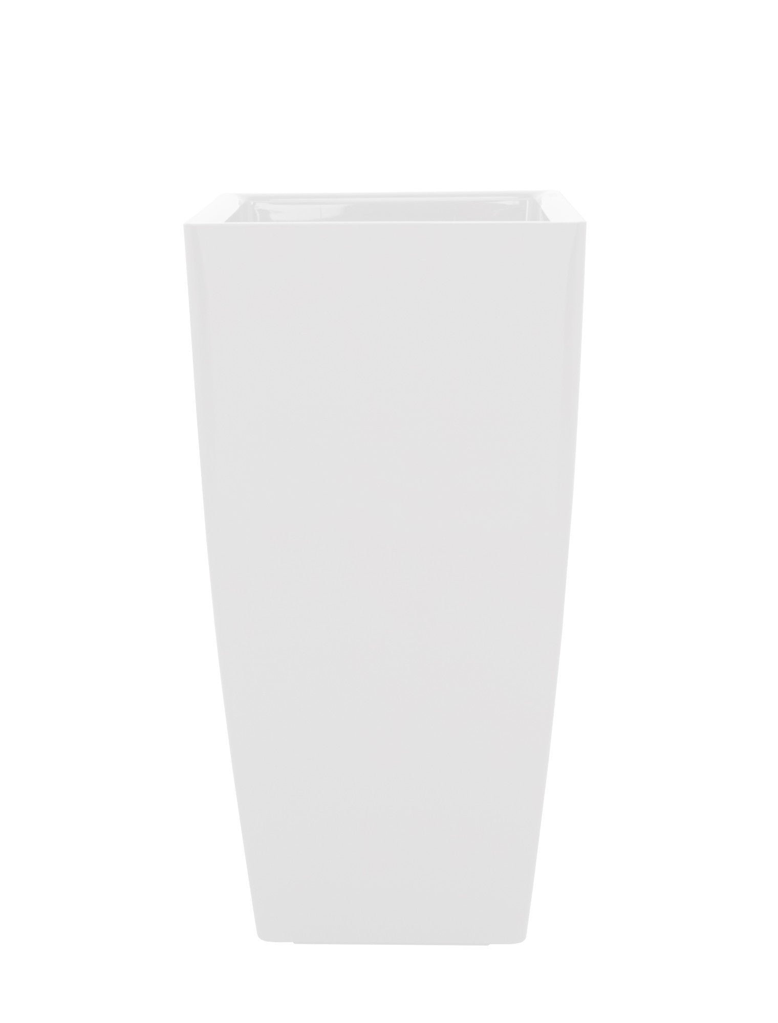 Plants 80cm 40cm Pot