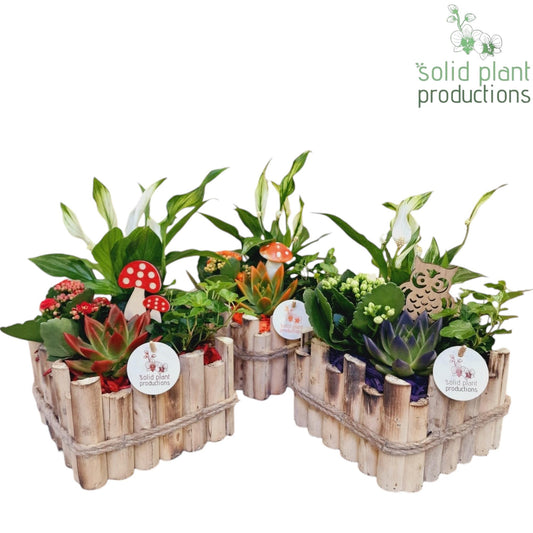HSE004 Verona Small Autumn Mix 35cm 18cm Pot