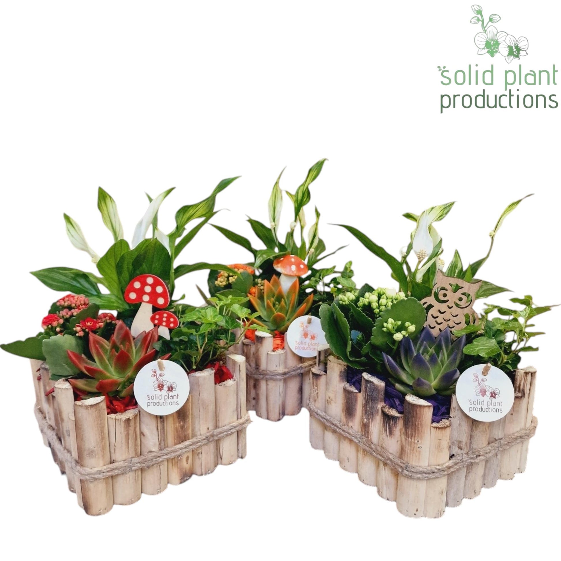 HSE004 Verona Small Autumn Mix 35cm 18cm Pot