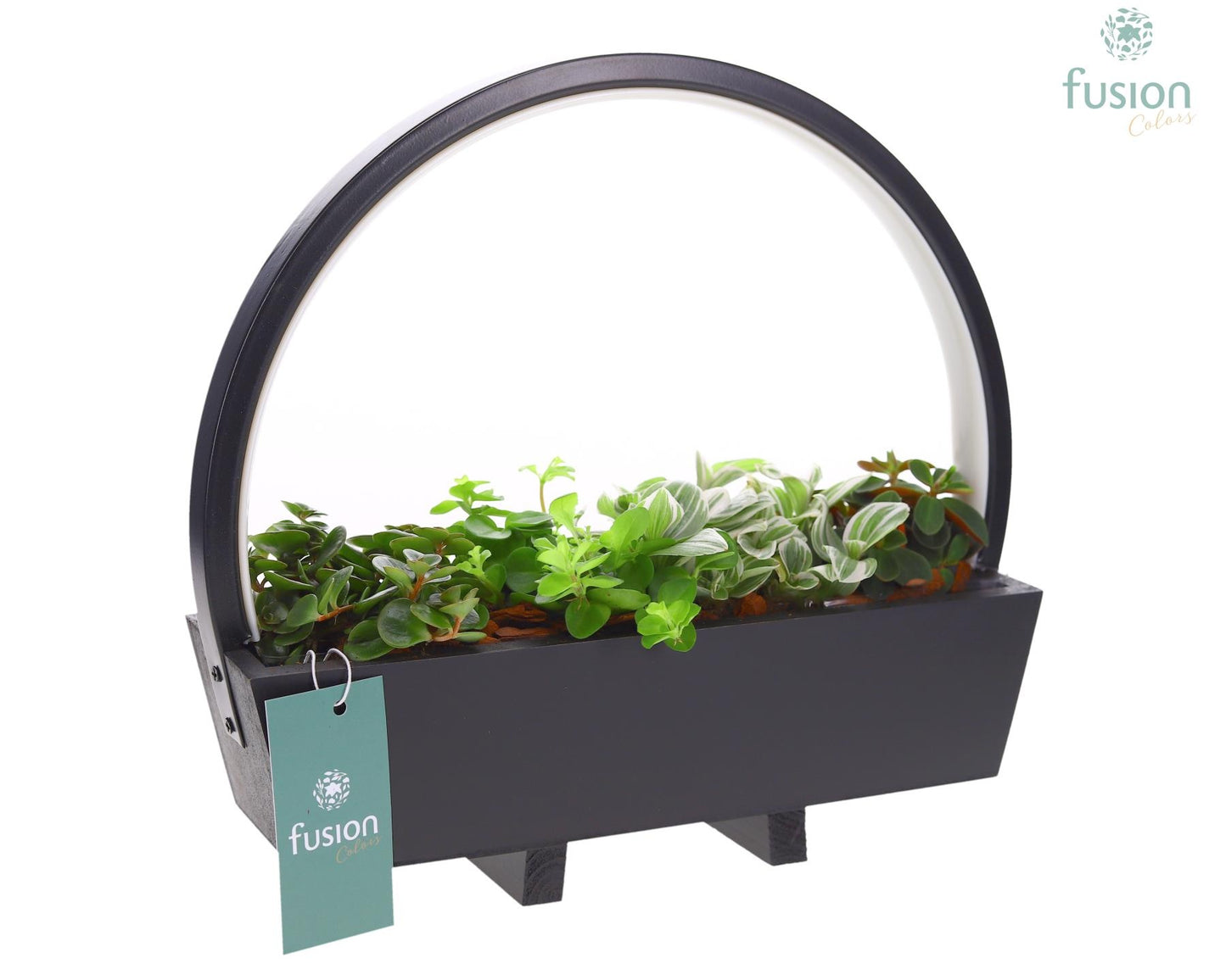 Fusioncolors BV Houten Tafellamp LED boog hout met groene planten 4pp Pack of 3