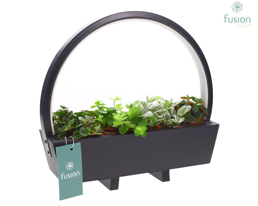 Fusioncolors BV Houten Tafellamp LED boog hout met groene planten 4pp Pack of 3