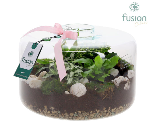 Green Bottle Kyra XLarge met Moederdag arrangement 20cm 27cm Pot
