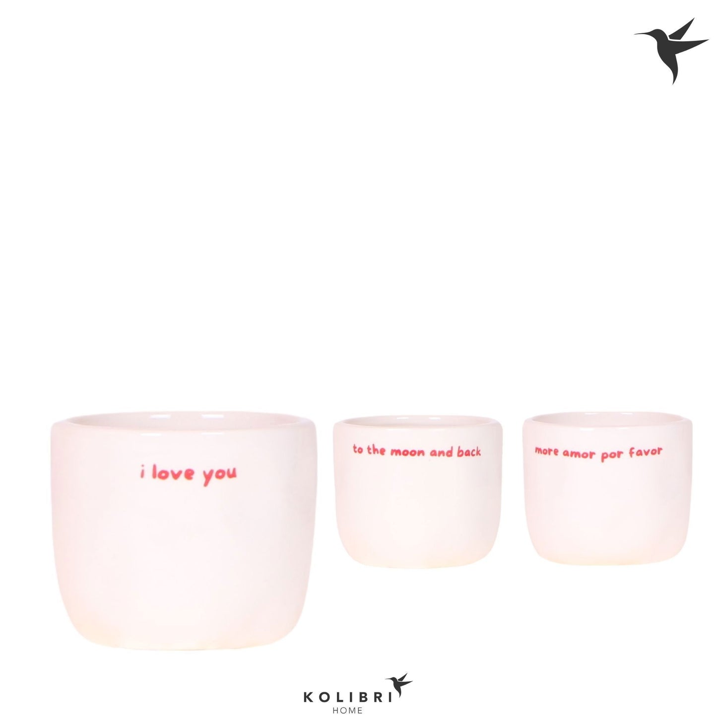 OK Plant Kolibri Home Love pot mix Pack of 12