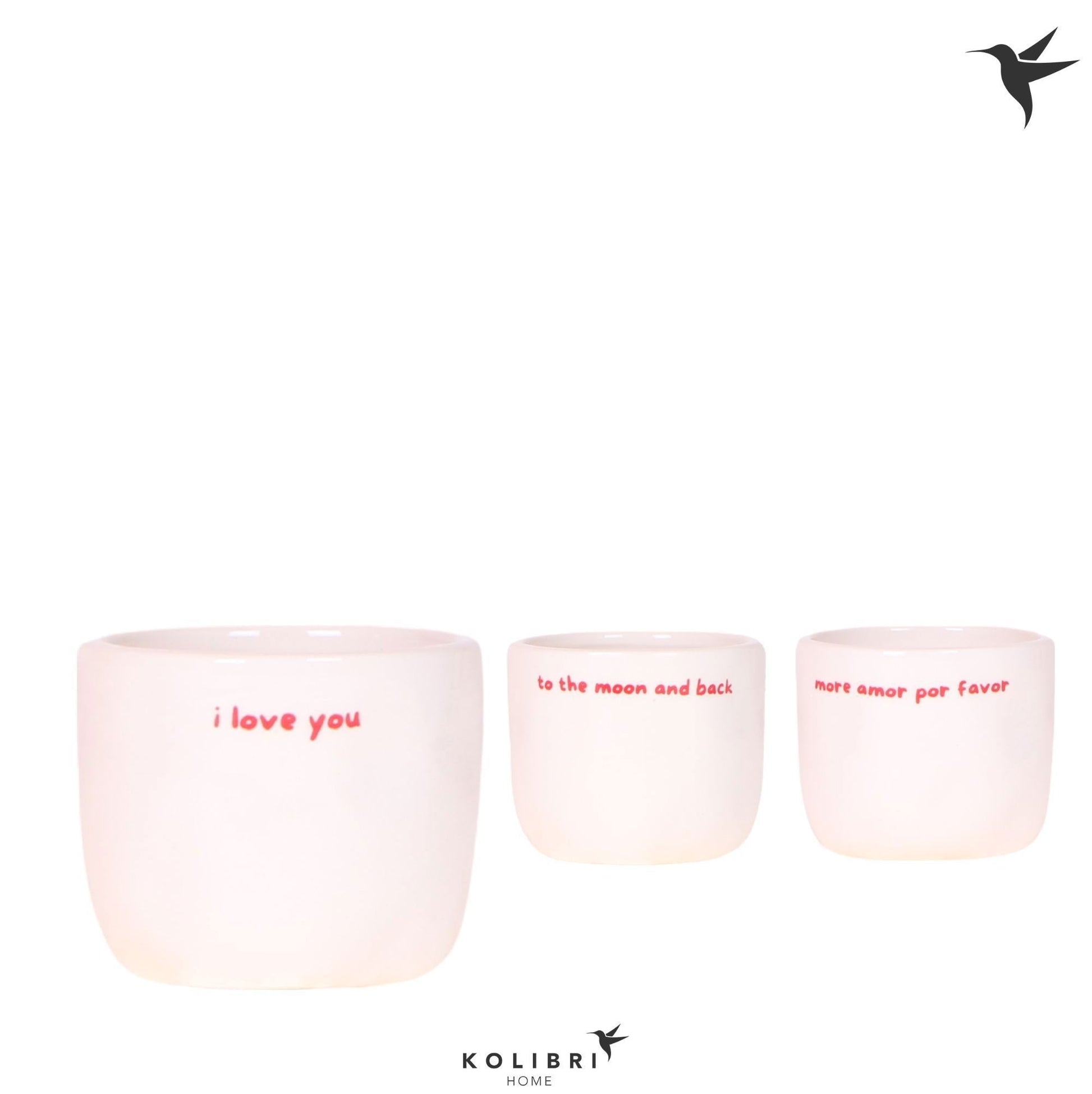 OK Plant Kolibri Home Love pot mix Pack of 12