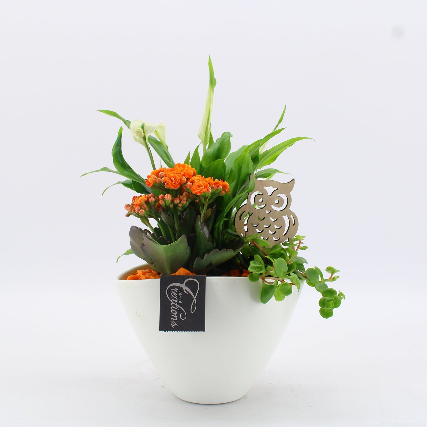 BHCR-2611 Autumn Fundamentals 35cm 18cm Pot