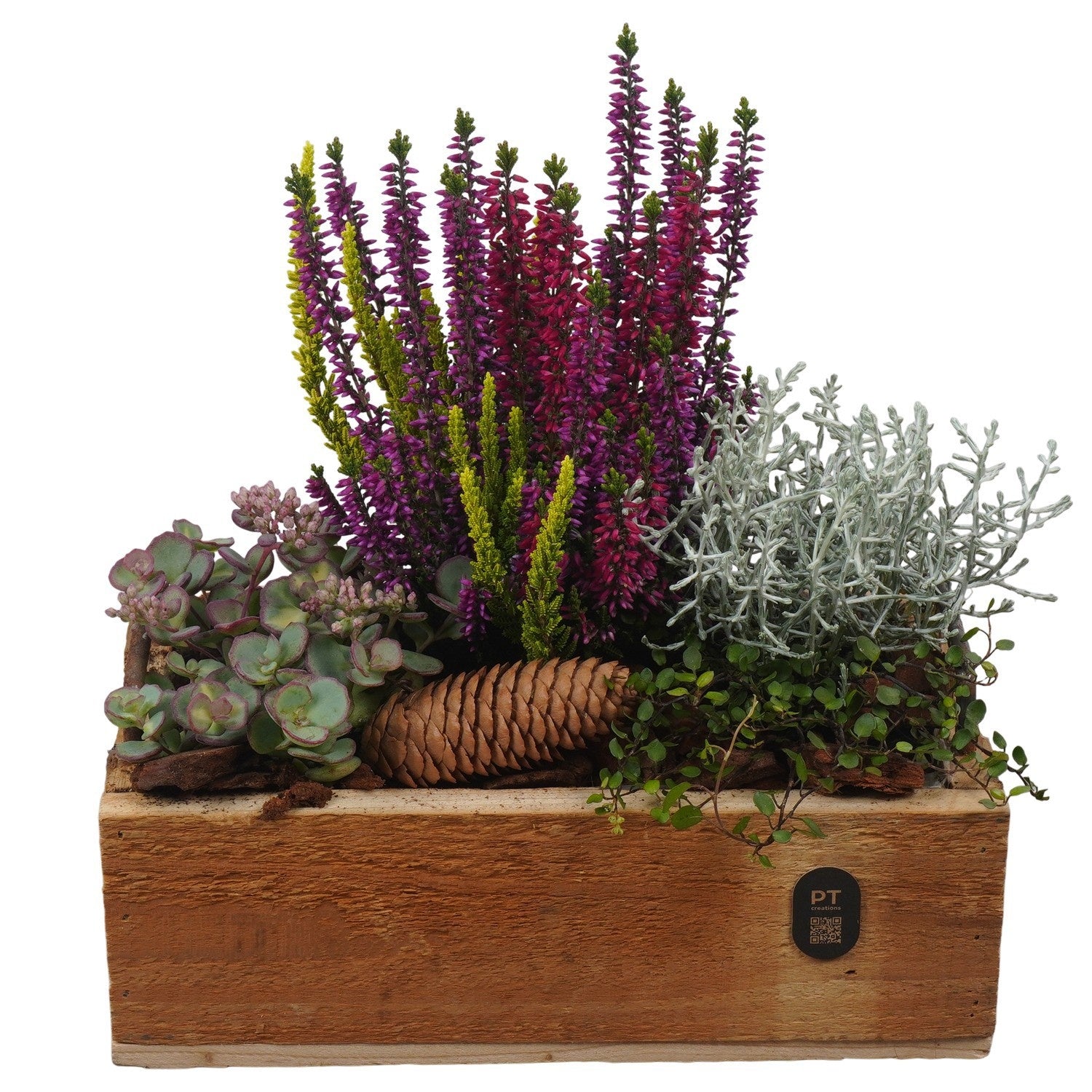 Outdoor arrangement 27cm 25cm Pot
