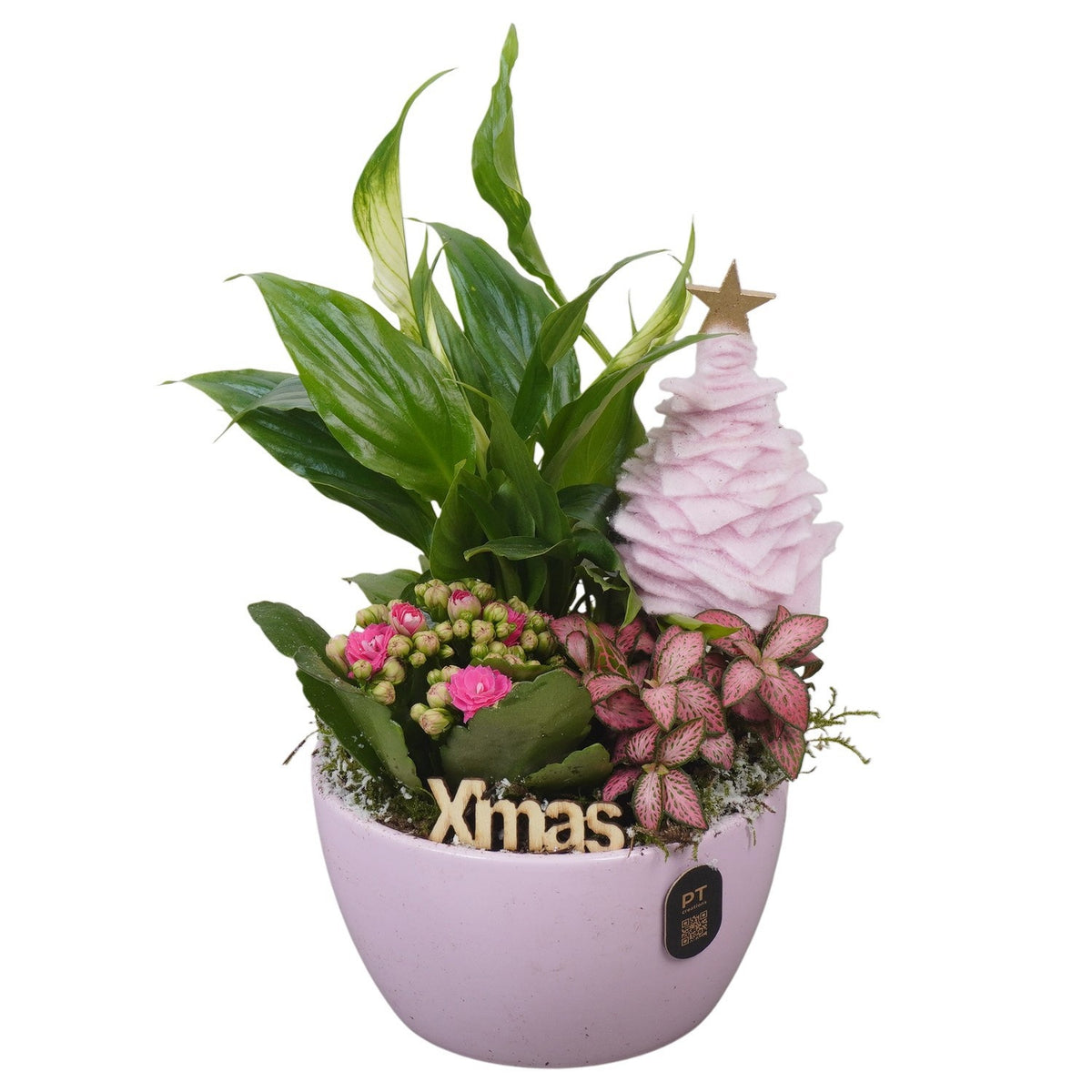 Christmas arrangement 27cm 14cm Pot