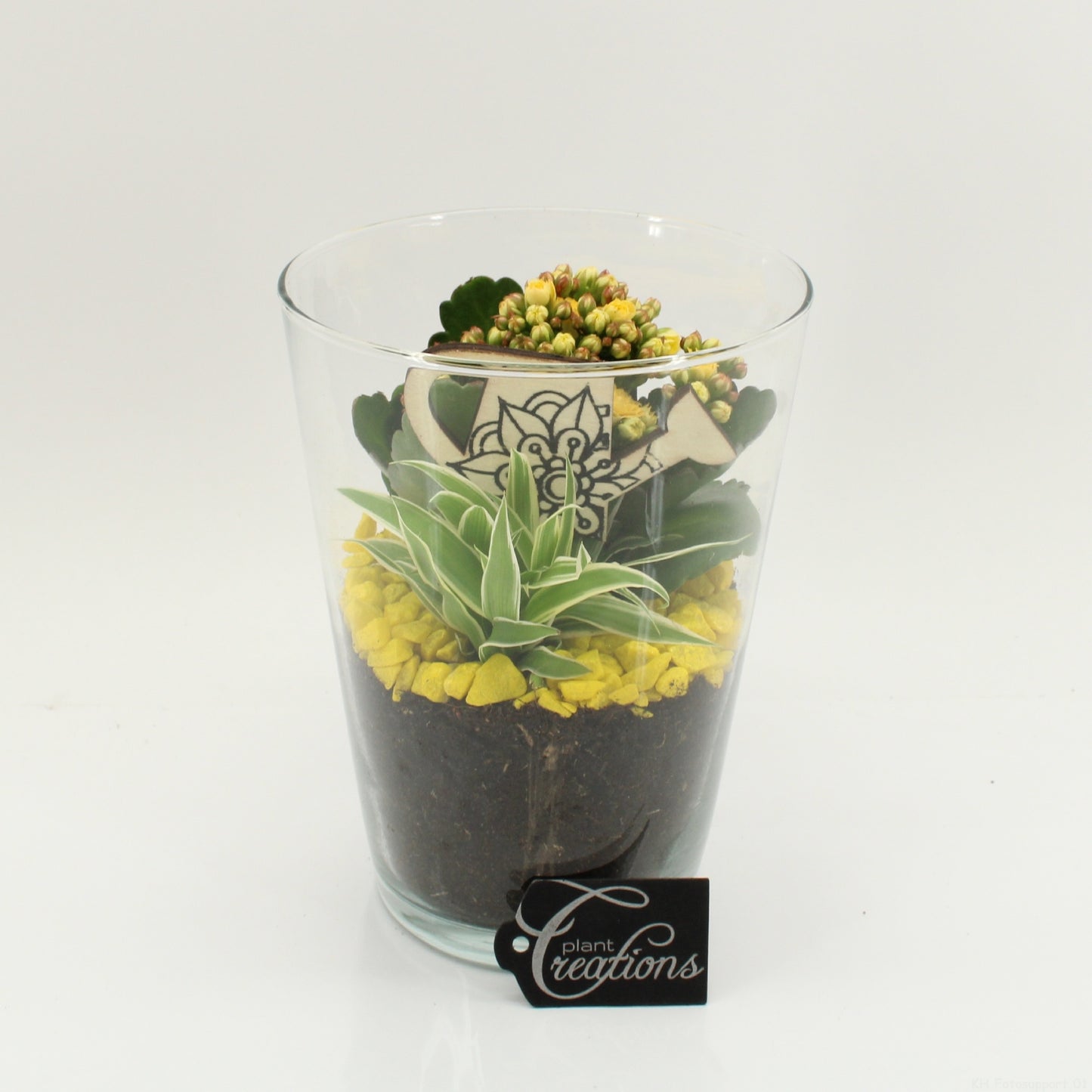 FDCR-2604G Basic Fundamentals 20cm 14cm Pot