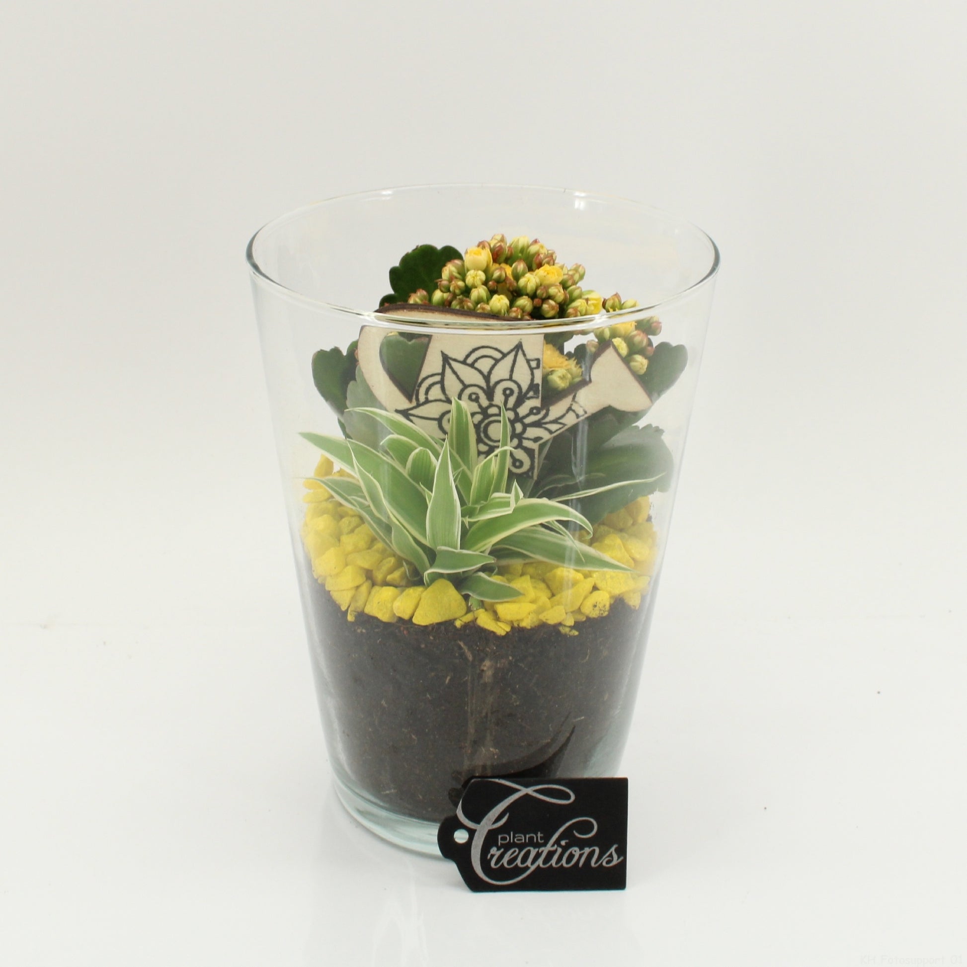 FDCR-2604G Basic Fundamentals 20cm 14cm Pot