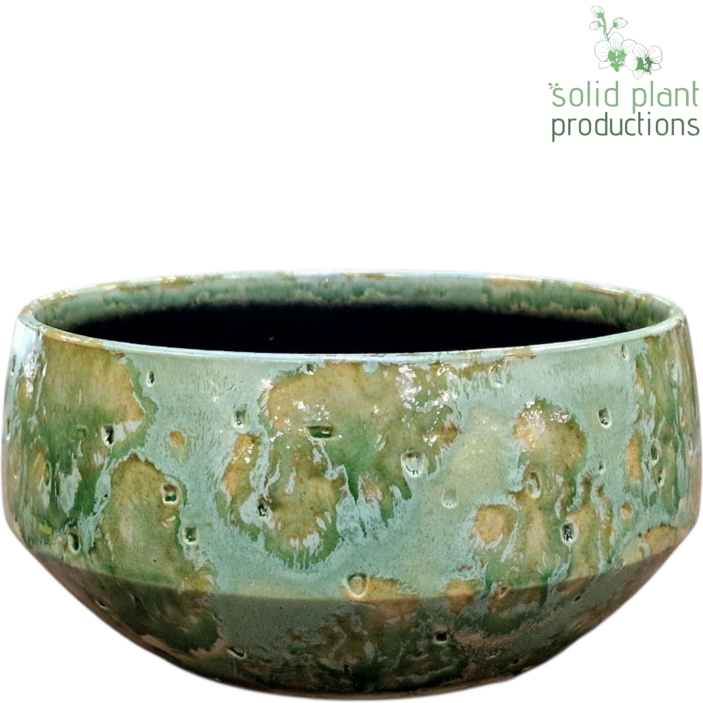 C091 Sophia Small Green 12cm 24cm Pot
