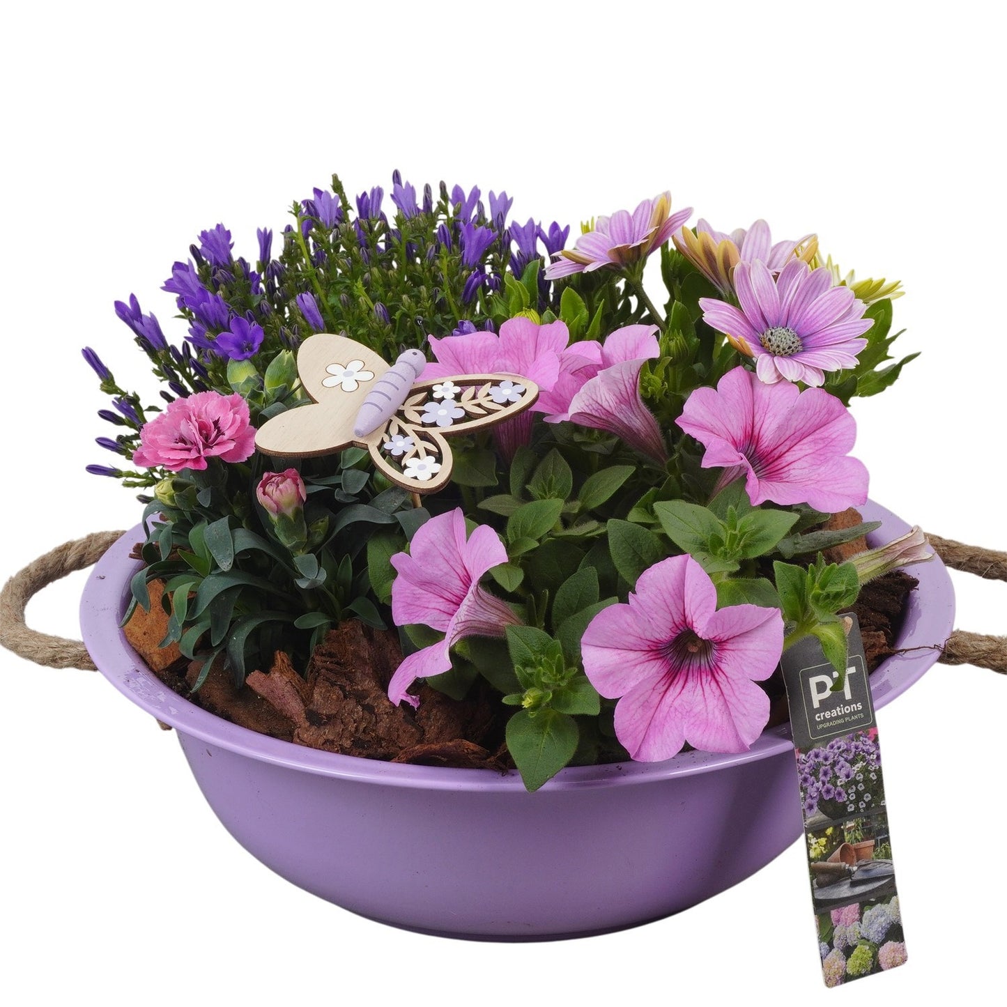 arr. PM196 22cm 29cm Pot