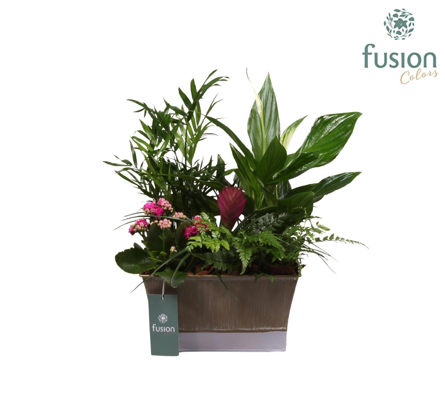 Zinken pot vierkant met arrangement 35cm 22cm Pot