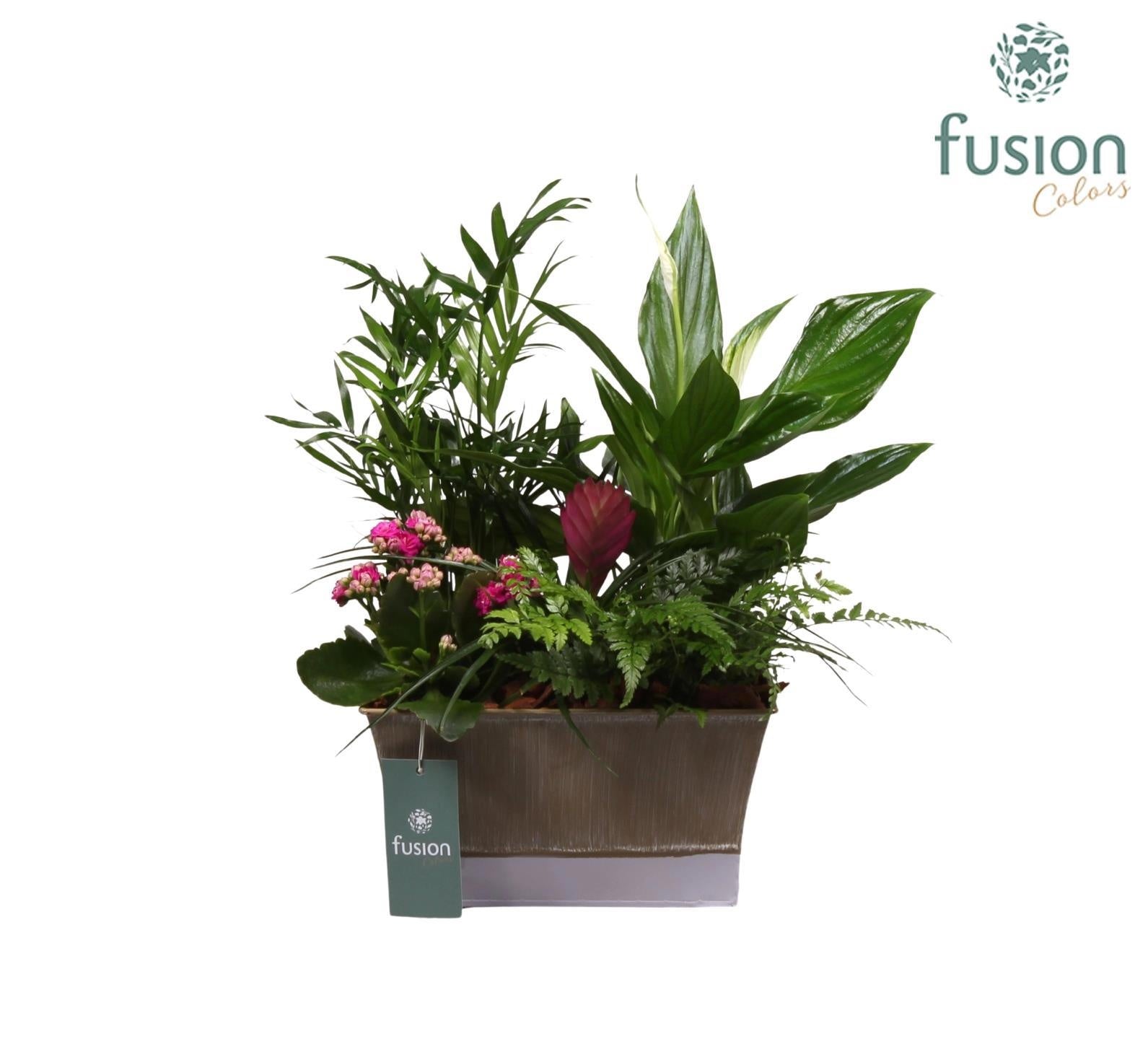 Zinken pot vierkant met arrangement 35cm 22cm Pot