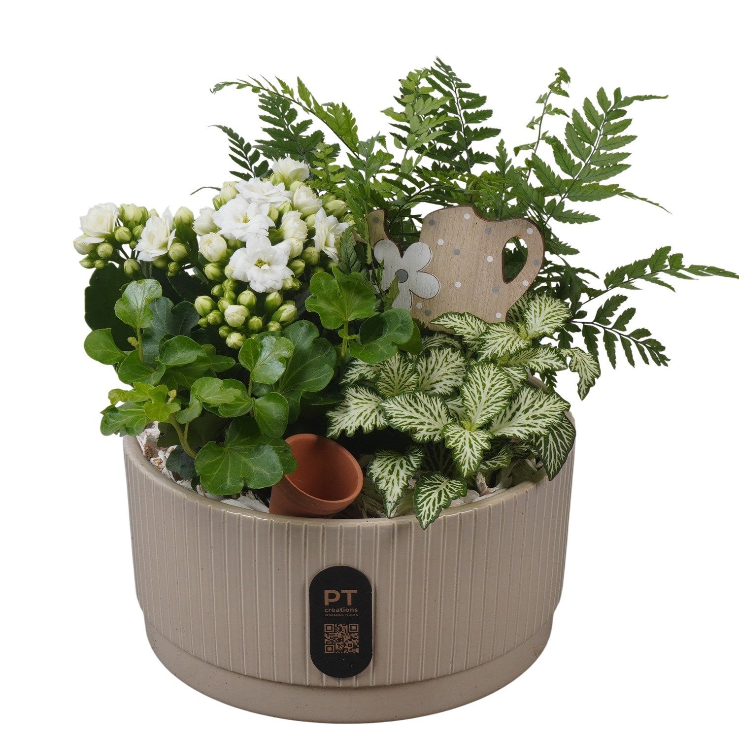 Indoor arrangement 21cm 19cm Pot