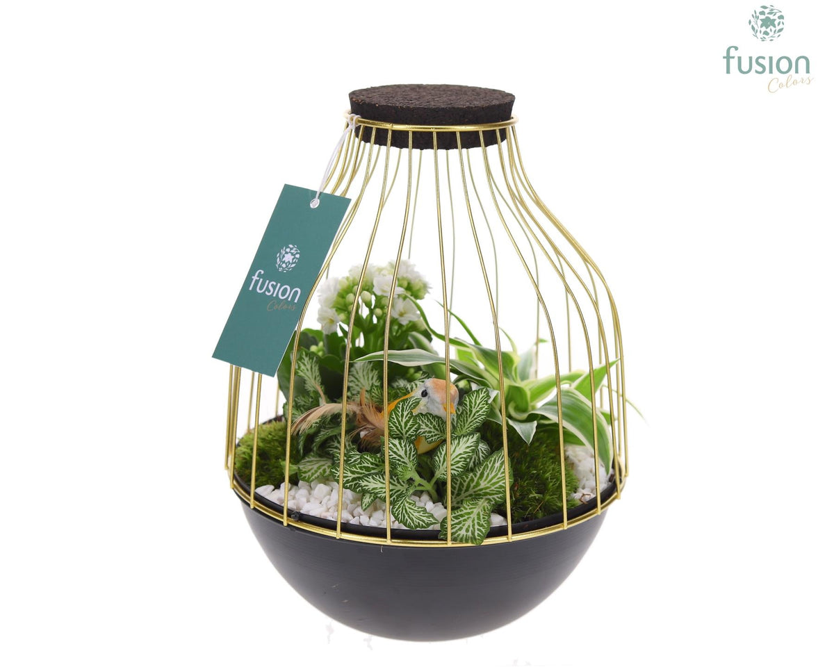 Metaal vogelkooi goudzwart Medium met arrangement 25cm 19cm Pot