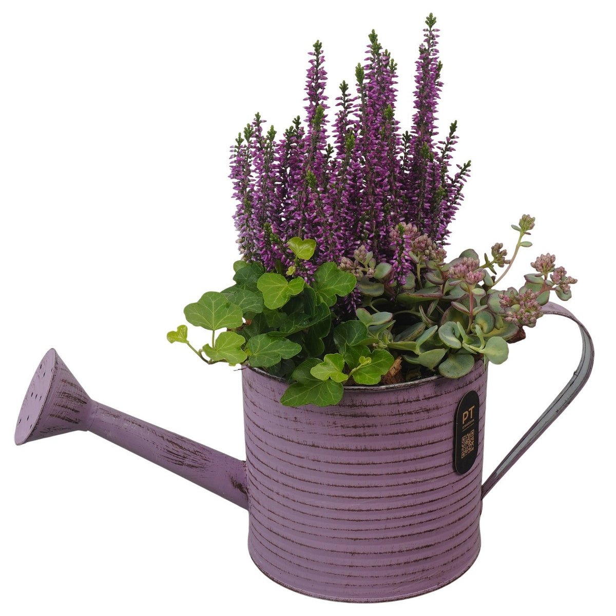 Outdoor arrangement 33cm 34cm Pot