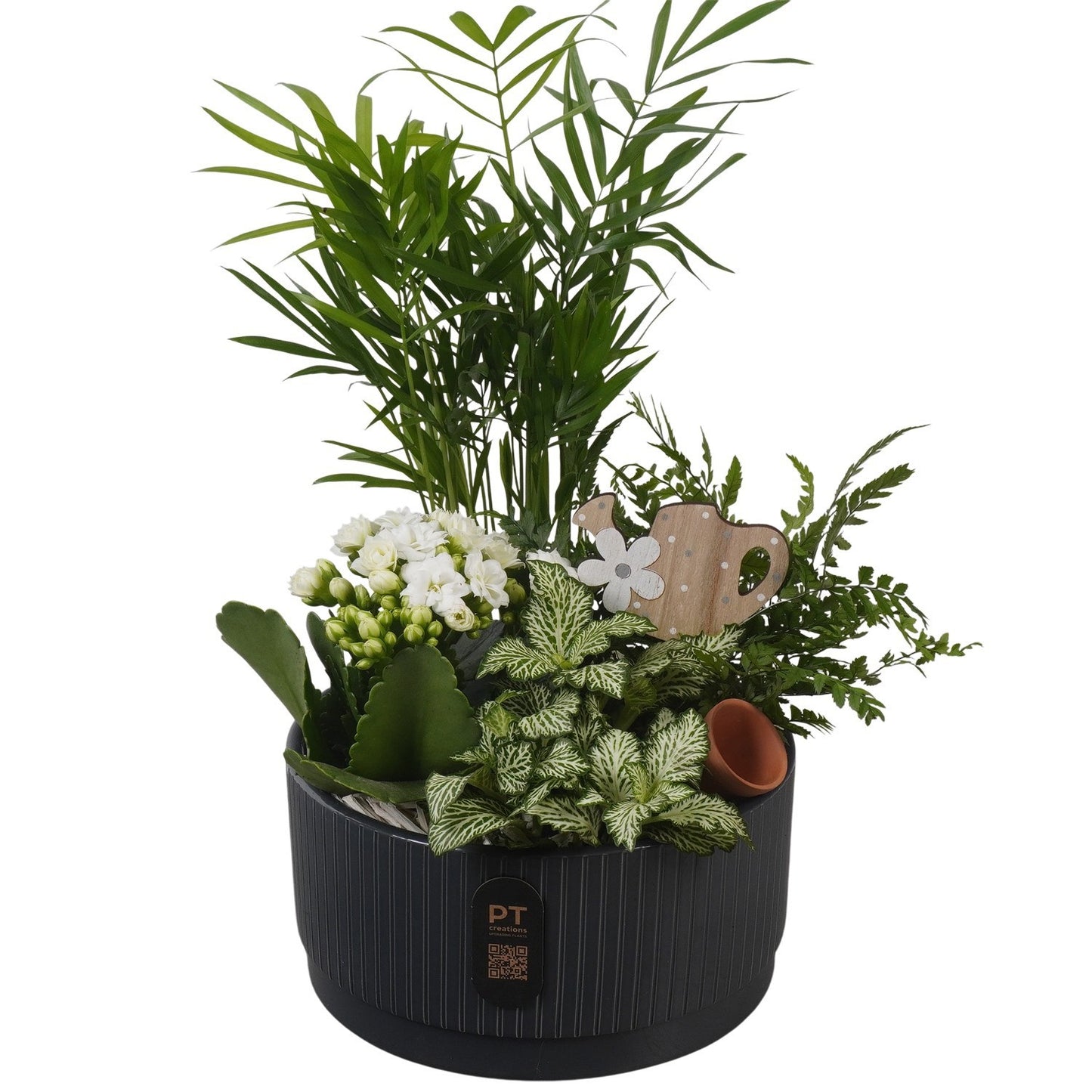 Indoor arrangement 34cm 19cm Pot