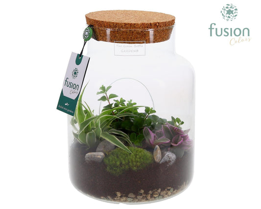 Green Bottle Pot Medium met Groen planten 35cm 19cm Pot