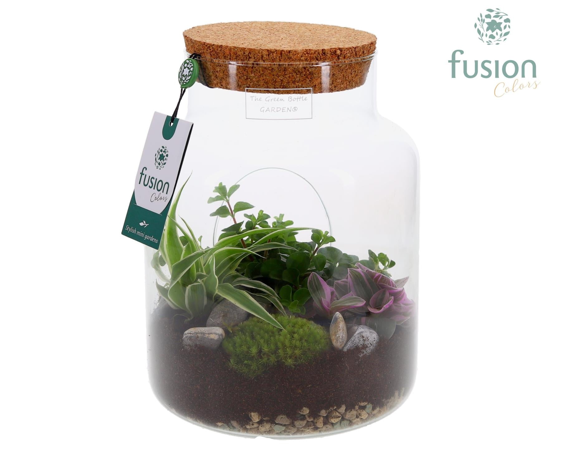 Green Bottle Pot Medium met Groen planten 35cm 19cm Pot